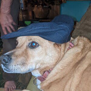 Pendleton wool cabbie newsboy cap navy blue small